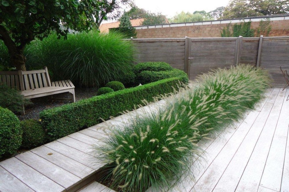 Archi-tuin